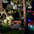 20200811_223140 _Gro___.jpg