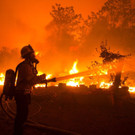 California_Wildfires_81615.jpg