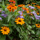 vlcsnap-2020-08-14-12h06m45s8.png