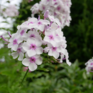 vlcsnap-2020-08-14-12h07m25s178.png