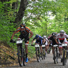RVD-Zanzenberg2018__3_.JPG