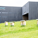 Neuer Lebensraum für Bienen