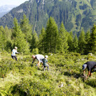 _MG_9920.JPG