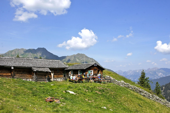 _MG_9921.JPG