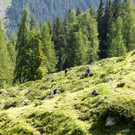 _MG_9924.JPG