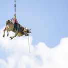 Switzerland_Bodenfahrt_04657.jpg