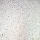 _T1A8779.jpg