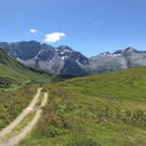IMG_8036.jpg