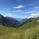 IMG_8037.jpg
