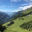 IMG_8038.jpg