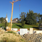 IMG_20200821_072958.jpg