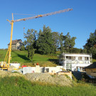IMG_20200821_073039.jpg
