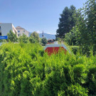 20Sicherheit Stop_23537_.jpg
