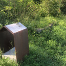 IMG_1844.JPEG