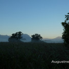 Sp__tsommer im Ried  12.jpg