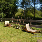 Sp__tsommer im Ried  28b.jpg