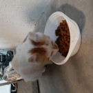 Foto 1.jpg