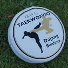 Taekwondo Sommertraining