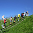 IMG_3511.JPG