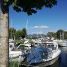IMG_20200806_174820.jpg