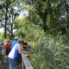 IMG_3503.JPG