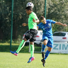 DSC07564aa.jpg