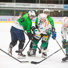 Wälder verloren zweiten Test