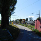 DSCI4787.JPG