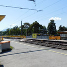 DSCI4788.JPG