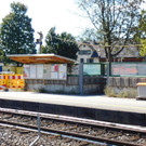 DSCI4791.JPG