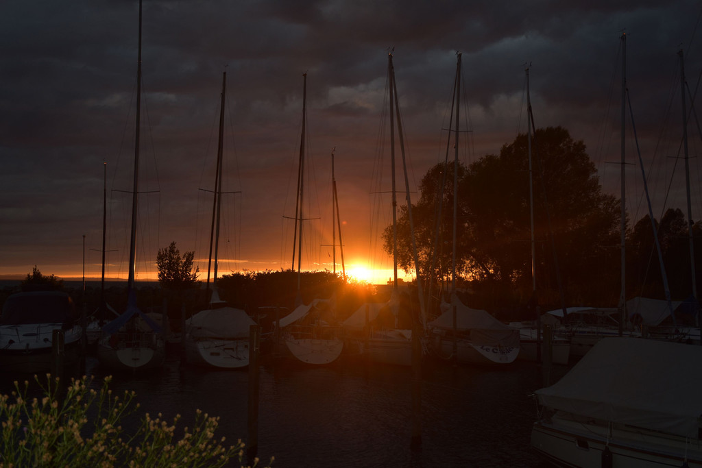 DSC_0179_1.JPG