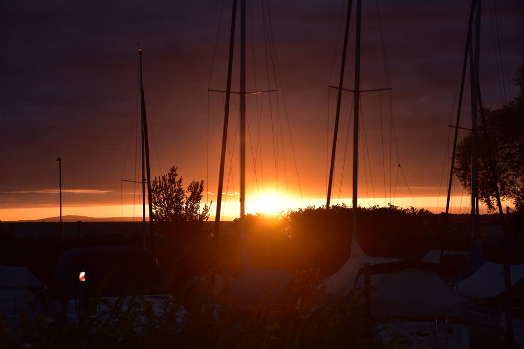 DSC_0181.JPG