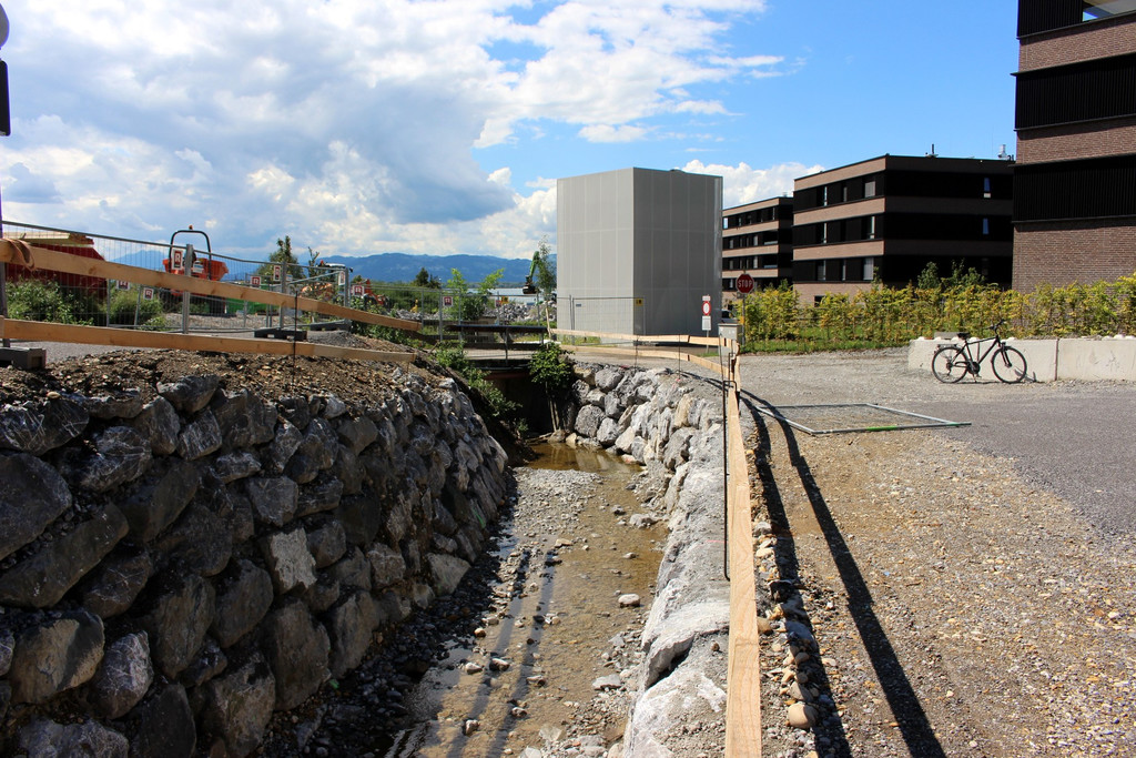 Kugelbeerbach Hochwasserschutz BF oben BR__CKE 18-08-2020 _13_.JPG