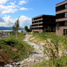 Kugelbeerbach Hochwasserschutz BF oben BR__CKE 18-08-2020 _21_.JPG