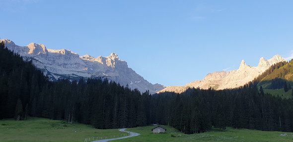 AlpeSpora9.jpg