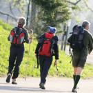 weitwandern__Naturfreunde __sterreich.jpg