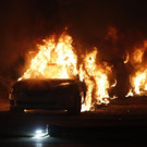 AFP_1WQ3UN.jpg