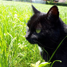 20180518_145724.jpg