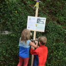 Naturlehrpfad.jpg