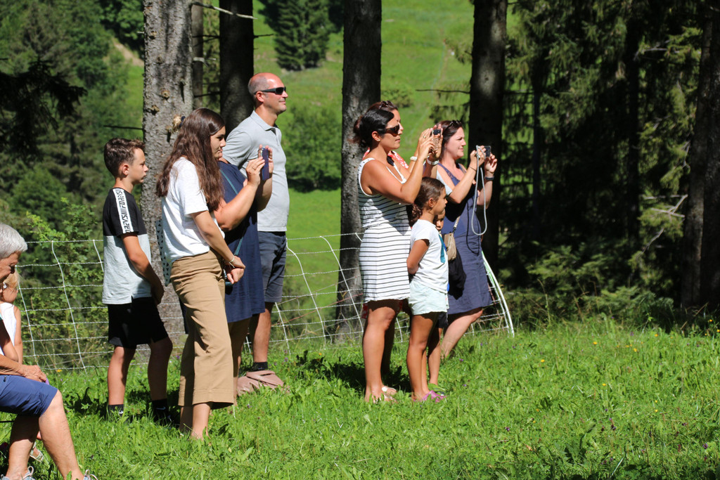 20200819_115026 _13_.JPG