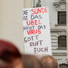 Grossdemo - Kritik an Corona-Ma__nahmen - Wien - 29_08_2020-12.jpg