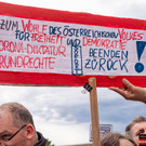 Grossdemo - Kritik an Corona-Ma__nahmen - Wien - 29_08_2020-13.jpg