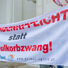 Grossdemo - Kritik an Corona-Ma__nahmen - Wien - 29_08_2020-20.jpg