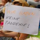 Grossdemo - Kritik an Corona-Ma__nahmen - Wien - 29_08_2020-25.jpg