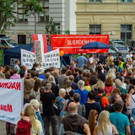 Grossdemo - Kritik an Corona-Ma__nahmen - Wien - 29_08_2020-28.jpg