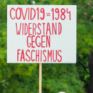 Grossdemo - Kritik an Corona-Ma__nahmen - Wien - 29_08_2020-38.jpg