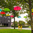 bunte aktion _3_.jpg