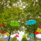 bunte aktion _5_.jpg