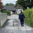 Neuer Diensthund "Siegfried" bei der Polizei Vorarlberg