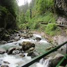 IMG_3777.JPG